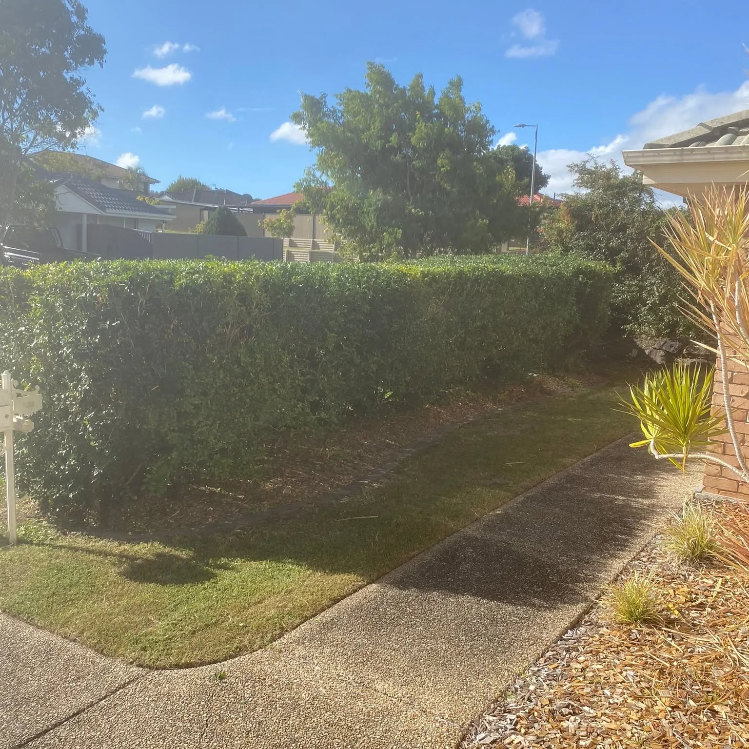 Hedge trimming result, Molendinar