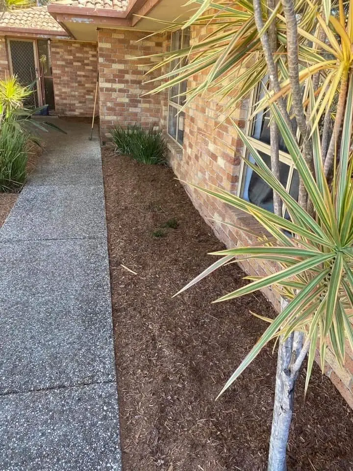 Freshly mulched garden bed and pathway, Molendinar