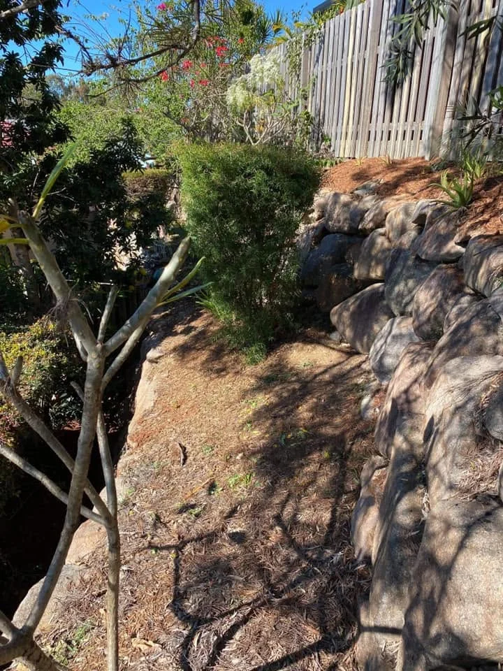 Garden area with rocks and established shrubs, Molendinar