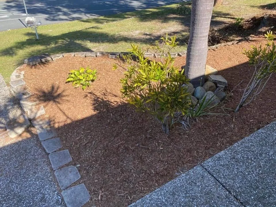 Landscaped garden area, Molendinar