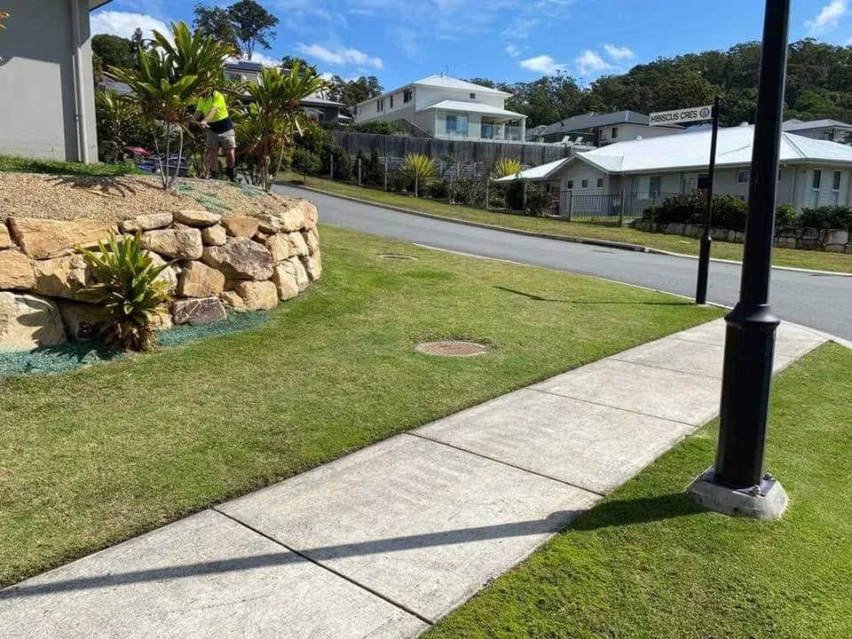 Landscaped area with mulch and shrubs, Molendinar