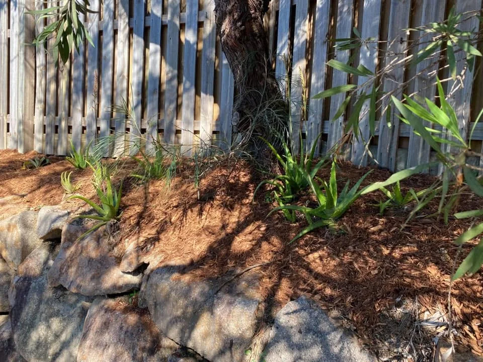 Landscaped garden feature, Molendinar