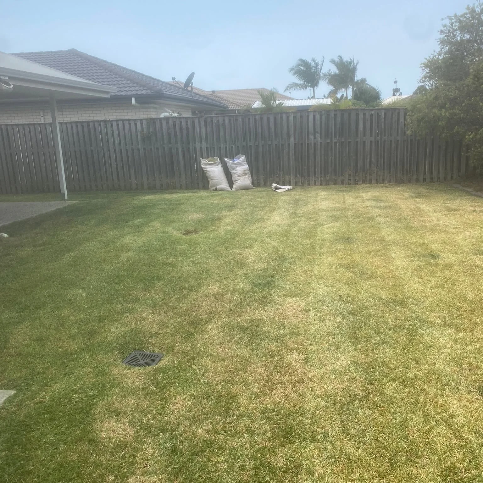 Neat suburban backyard lawn after mowing, Molendinar
