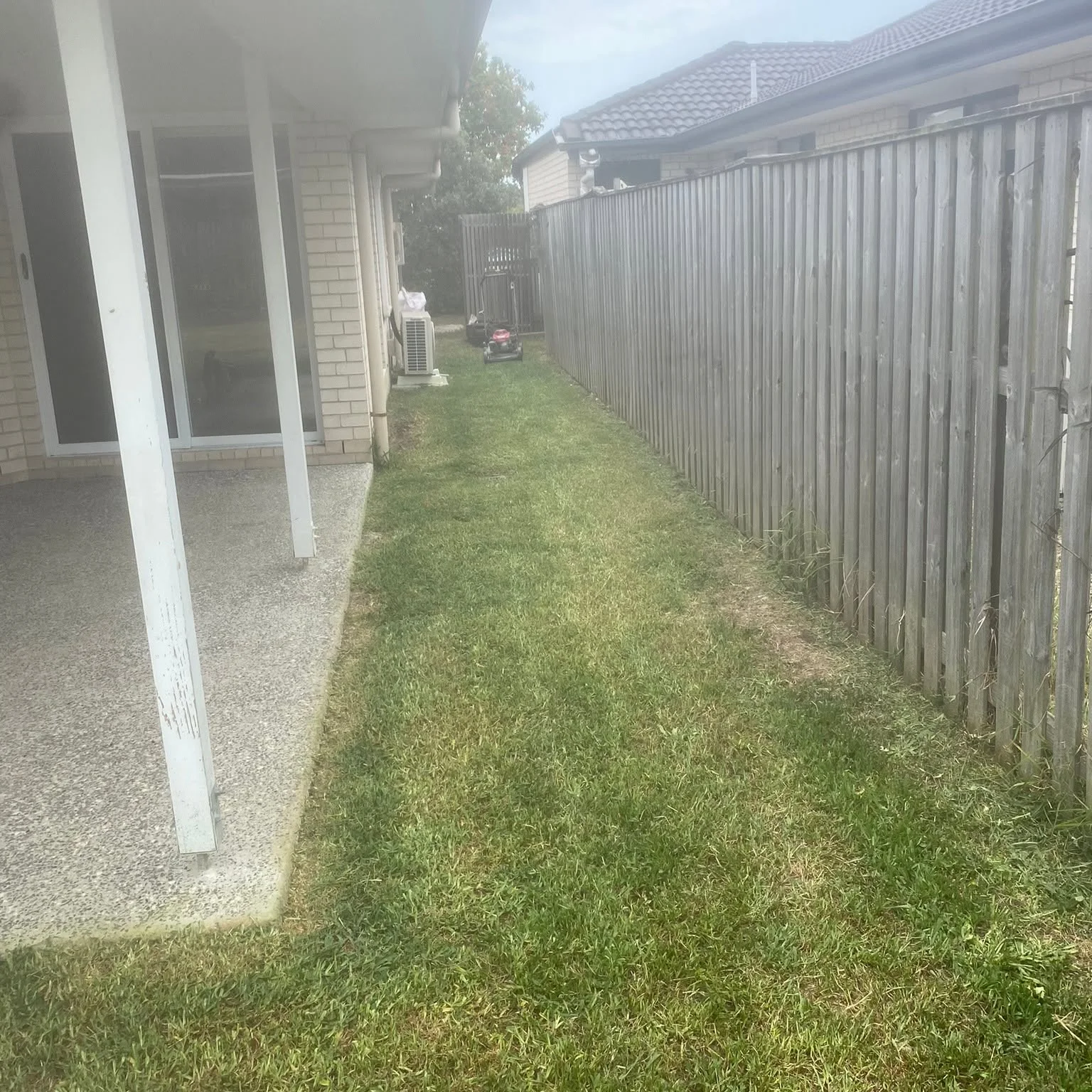 Freshly mowed lawn in Molendinar