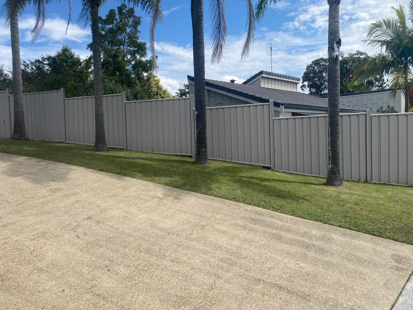Driveway and maintained lawn area, Molendinar