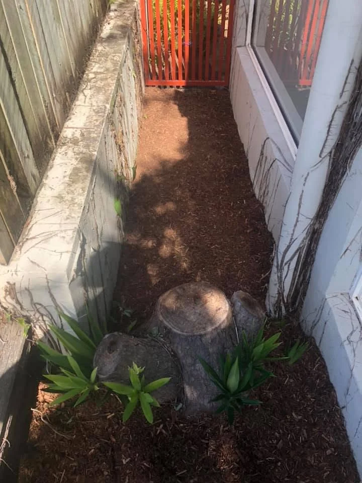 Side passage with mulched garden bed and stumps, Molendinar