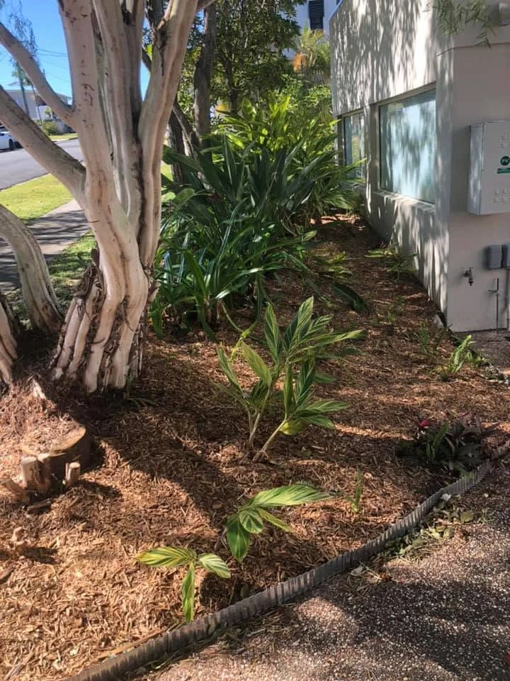 Property maintenance detail, Molendinar