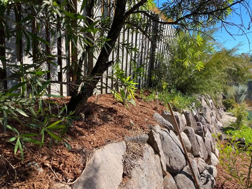 Garden area with bamboo and rock retaining wall, Molendinar