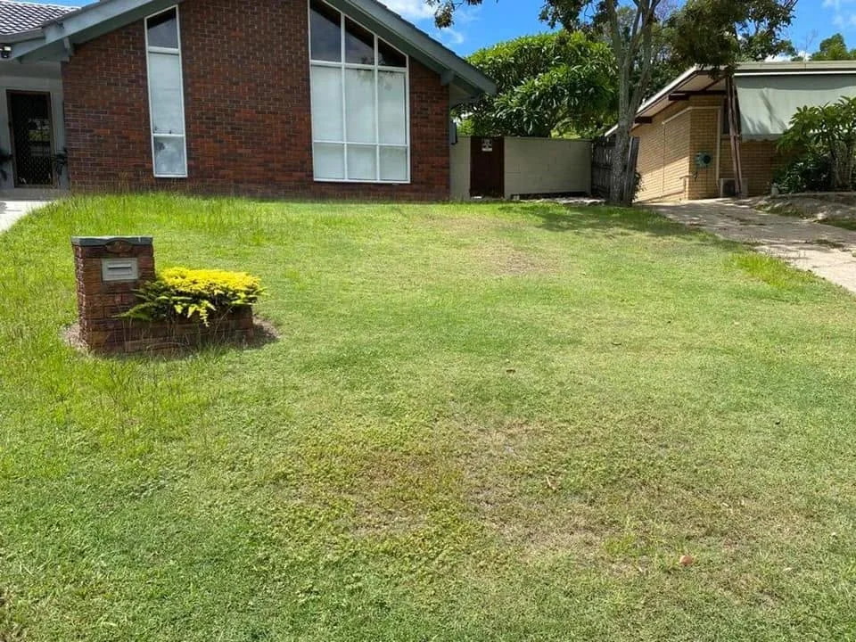 Patchy suburban front lawn with weed growth, Molendinar